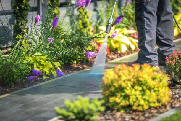  Cooper City, FL Pressure Washing Pros