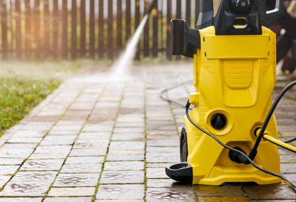 Animal Enclosure Cleaning in Cooper City, FL